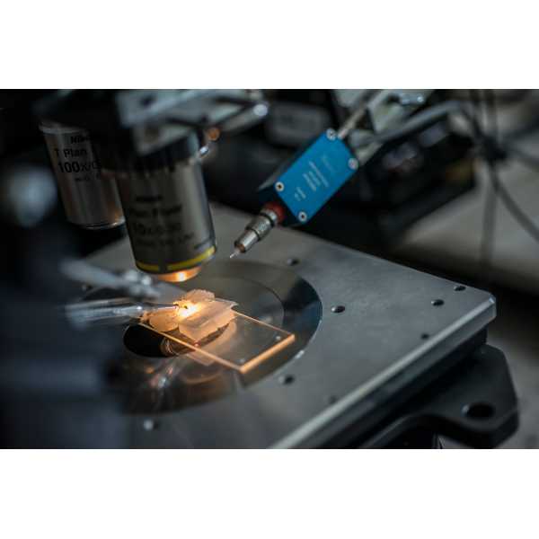 This scope in Dr. Ke Dong's lab is being used to improve mosquito responses to insecticide-treated bed nets.