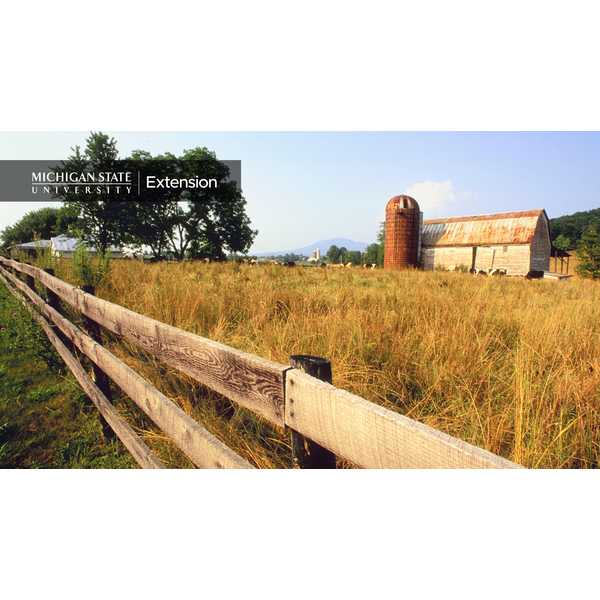 Barn in the field