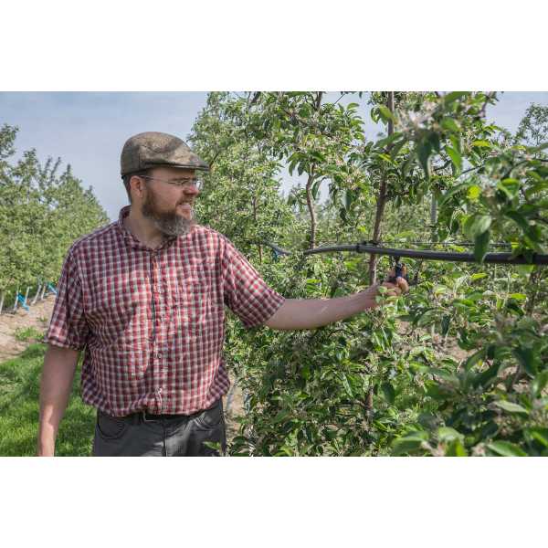 Matt Grieshop specializes in economically viable pest management knowledge, training and tactics for organic farming systems.
