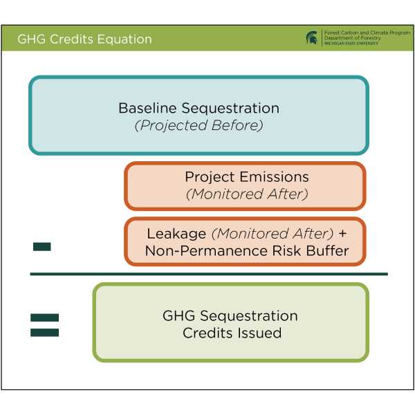 Equation for Creating Credits 
This is a simple representation of the formula used to create carbon credits.