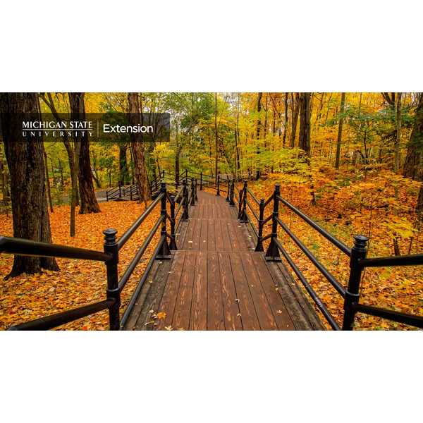 fall deck