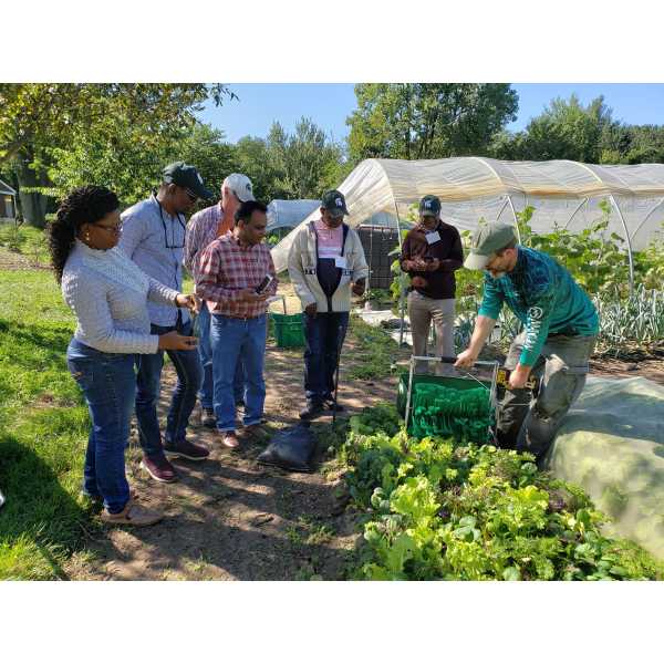 Visiting a small farm and learning about harvest methods.