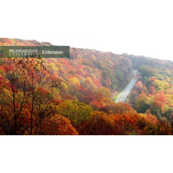 A country winding road in full fall foliage. Fall_14