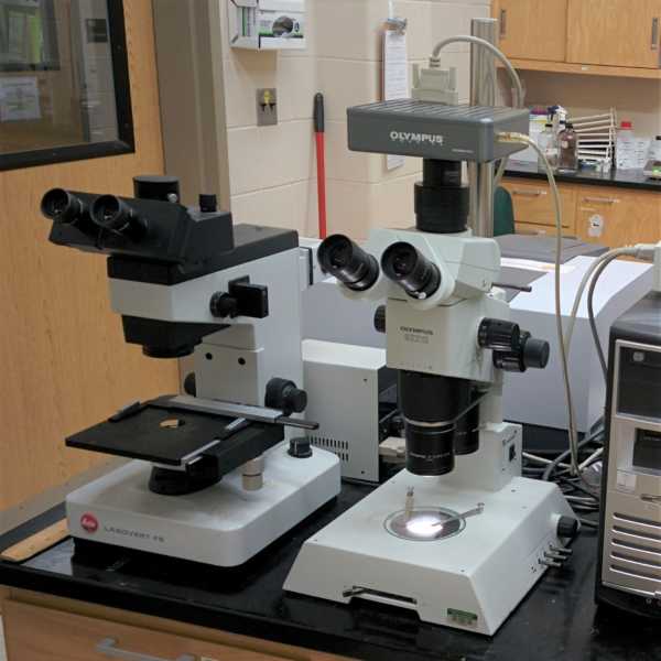 Optical Microscope