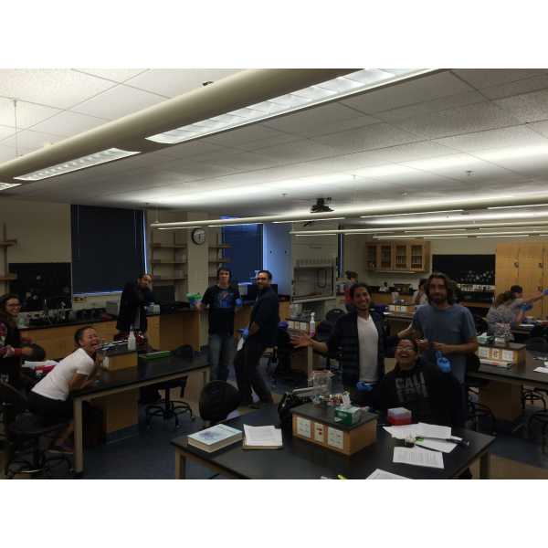 2015 Plant Pathology class working in the lab