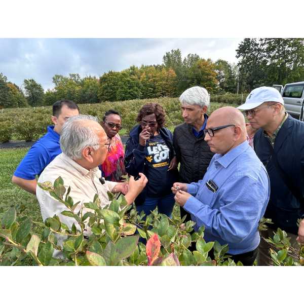 Dr. Carlos Garcia of MSU Extension explains how research at Trevor Nichols Research Center supports blueberry producers.