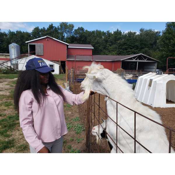 Visiting a Hickory Knoll Farms Creamery.