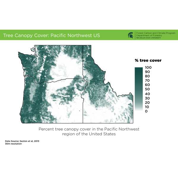 Tree Canopy Cover: Pacific Northwest US:
Percent tree canopy cover in the Pacific Northwest region of the United States