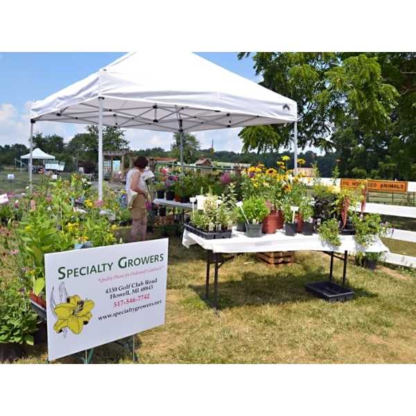 Tollgate Open House