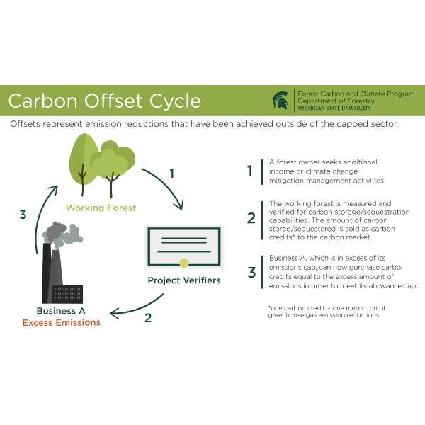 Creating a Forest Carbon Credit 
To create a credit that is recognized and trusted to be equivalent to 1 metric ton (1Mt), a landowner must use official protocols and methodologies to measure and verify the carbon storage and sequestration capabilities of their forest and forest management plan. This is to ensure that 1 credit calculated is truly equivalent to the benefit of 1 metric ton of CO2 (1MtCO2) eliminated from the atmosphere. 

Offset credits may be developed under voluntary market standards or compliance market standards, each of which has specific carbon accounting and eligibility rules.