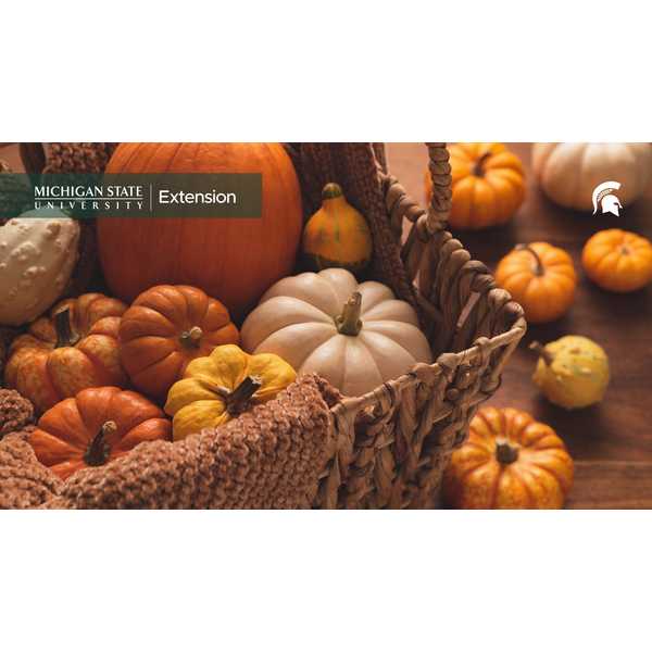 Assorted pumpkins. Fall_13