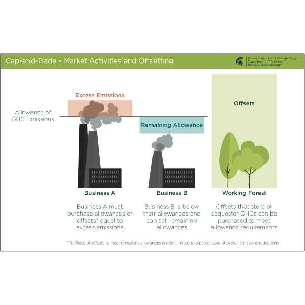 Cap-and-Trade Market Activities and Offsetting
Individuals or corporations employ forestry offsets as financial instruments to reduce, or cancel out, their own carbon emissions, often to meet a mandated GHG emission limit.  

An offset’s reduction in emissions can come from either avoiding one ton of carbon emissions or increasing forest carbon sequestration by one ton. 

Forestry activities that increase the carbon dioxide absorption of forests include afforestation, reforestation, active forest management, or avoided deforestation.