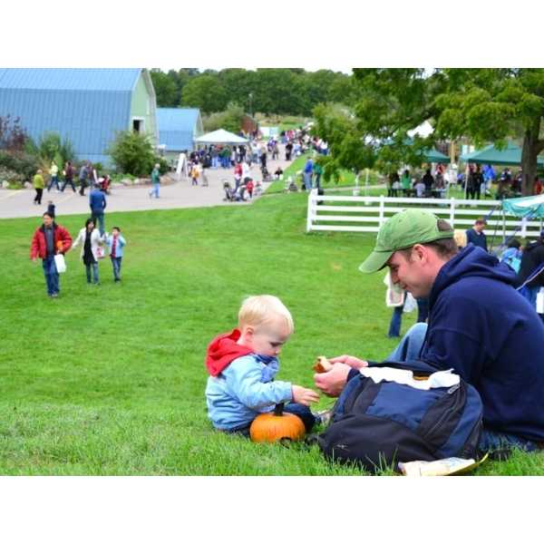 Fall Fair