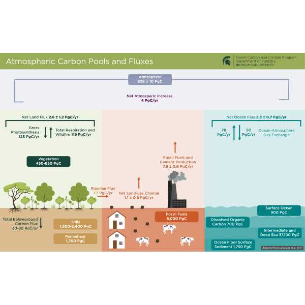 An overview of relationship between different atmospheric carbon pools and fluxes. A carbon flux is the amount of carbon exchanged between Earth's carbon pools - the oceans, atmosphere, land, and living things.