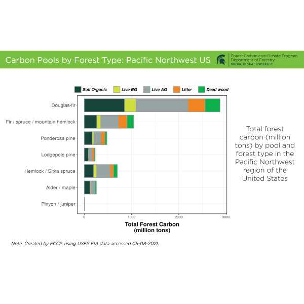 Carbon Pools by Forest Type: Pacific Northwest US:
Total forest carbon (million tons) by pool and forest type in the Pacific Northwest region of the United States.