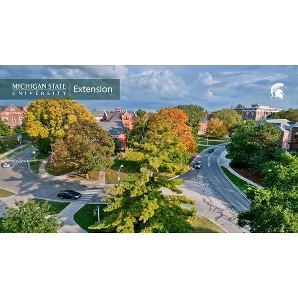 Campus in fall