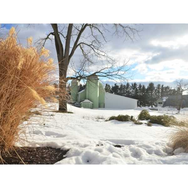 Tollgate Pasture - Winter