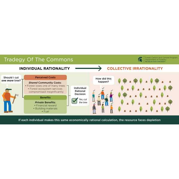 Tragedy of the Commons:
An overview of how perceived costs and benefits create individual rational decisions that lead to collective irrationality.