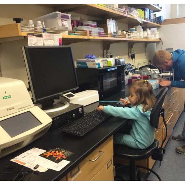 Laboratory mascot Juliana analyzing her data (Oct. 2015)
