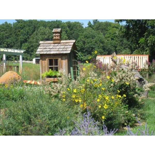 Children's Garden