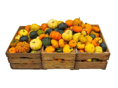 3 wooden crates filled with pumpkins and squash.