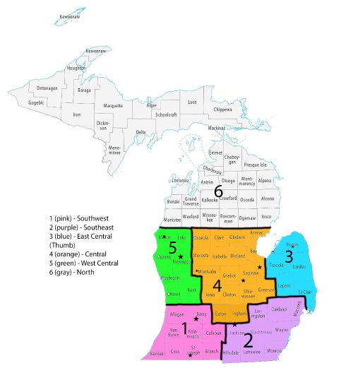 A colorful, sectioned-off map of Michigan.