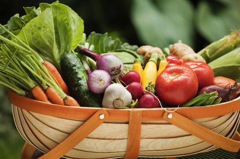Basket filled with fresh vegetables, carrots, beets, squash, tomatoes and more.