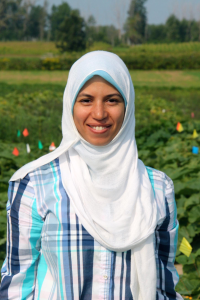 Safa Alzohairy