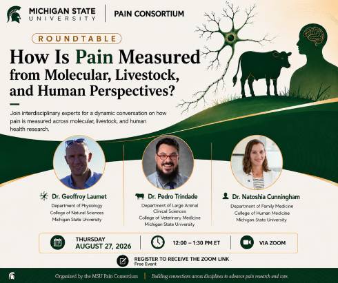 A flier advertising the MSU Pain Consortium Roundtable