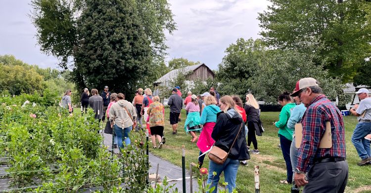 A group of people walking around a garden
