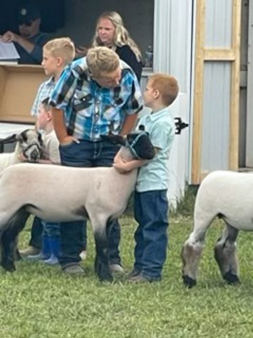 A young boy in a pale blue shirt holding a market lamb while an older teen talks to him.