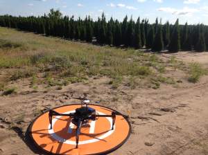The future of using drones in nursery production