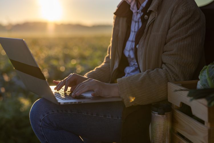 Female Farmer Wearing A Shirt And Pullover Is Sitting In The Trunk Of Her Car During Sunset Typing On Her Laptop Box With Vegetables And A Bottle Standing Next To Her
