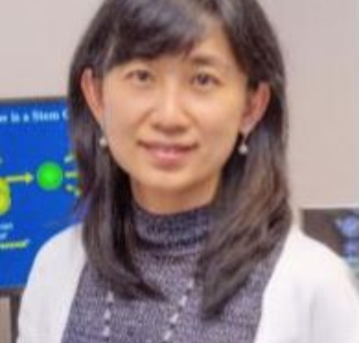 Yuan Wang