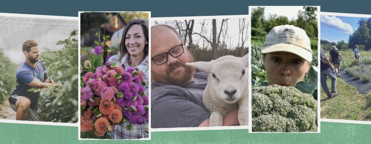 For decorative purposes.