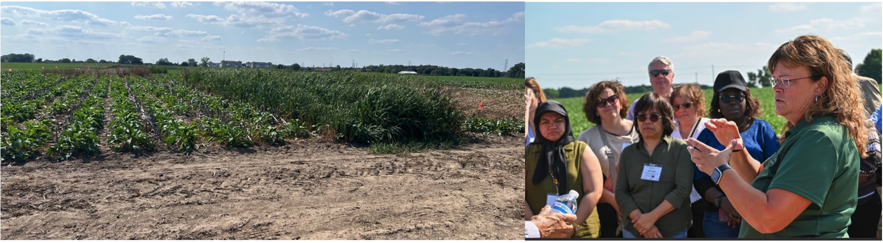 KristySpragueDiptych.jpg