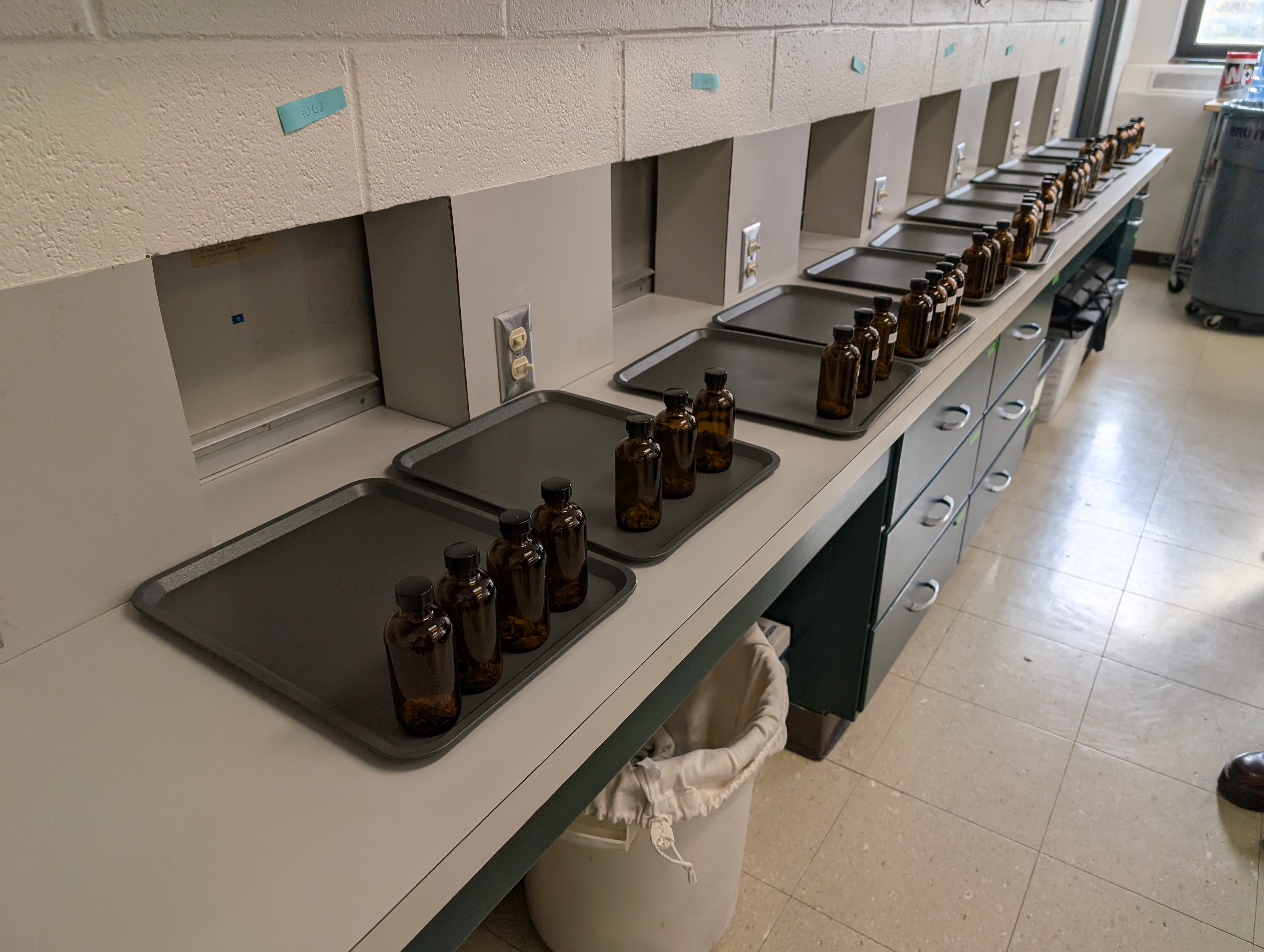 Sensory Lab_photo 4
