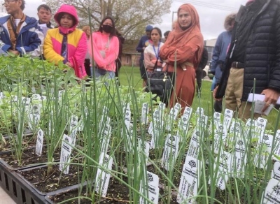 Community Gardens food sovereignty.jpg Community Gardens food sovereignty.jpg