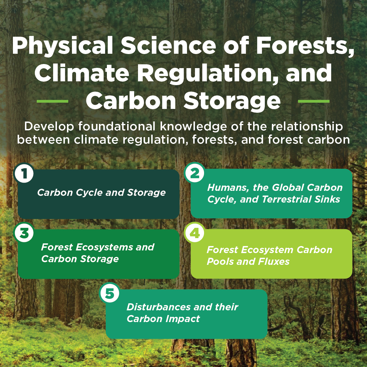PhysicalScienceFlyer_cropped.png