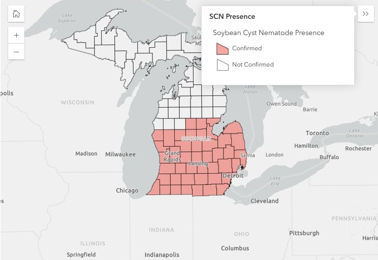 Map of the state of Michigan highlighting the counties red if they are positive for soybean cyst nematode.