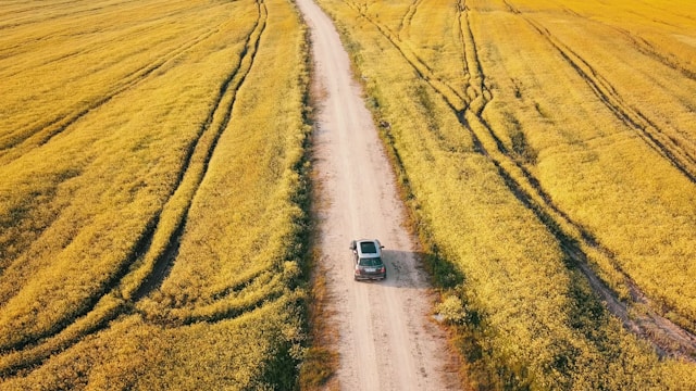 A silver SUV driving on a road in the middle of a green grass field
