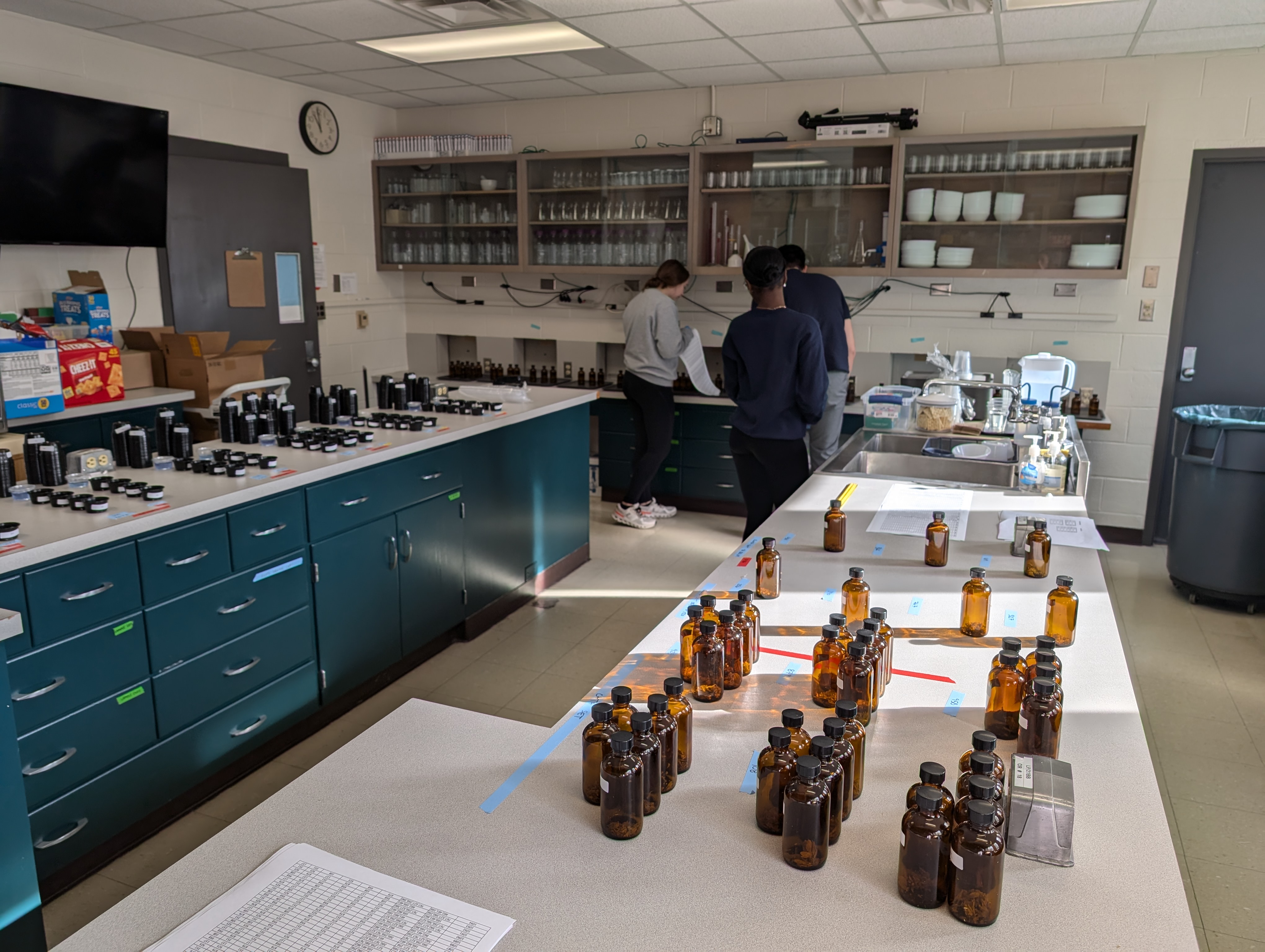 Sensory Lab_photo 3