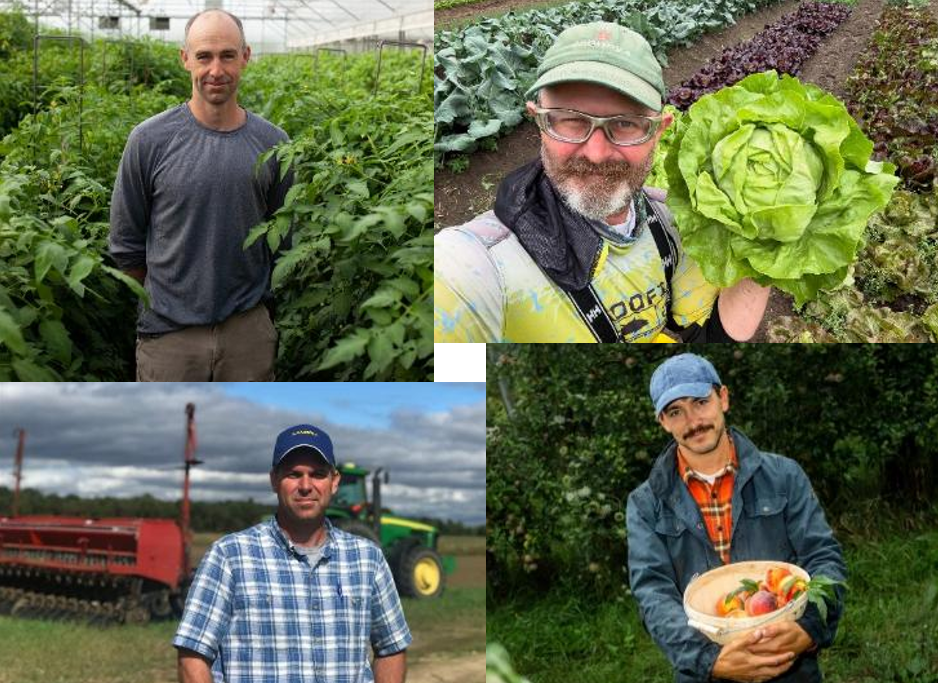 Collage of four farmers and growers pictured in greenhouses and fields, including one holding a large head of lettuce and another holding a basket of produce.