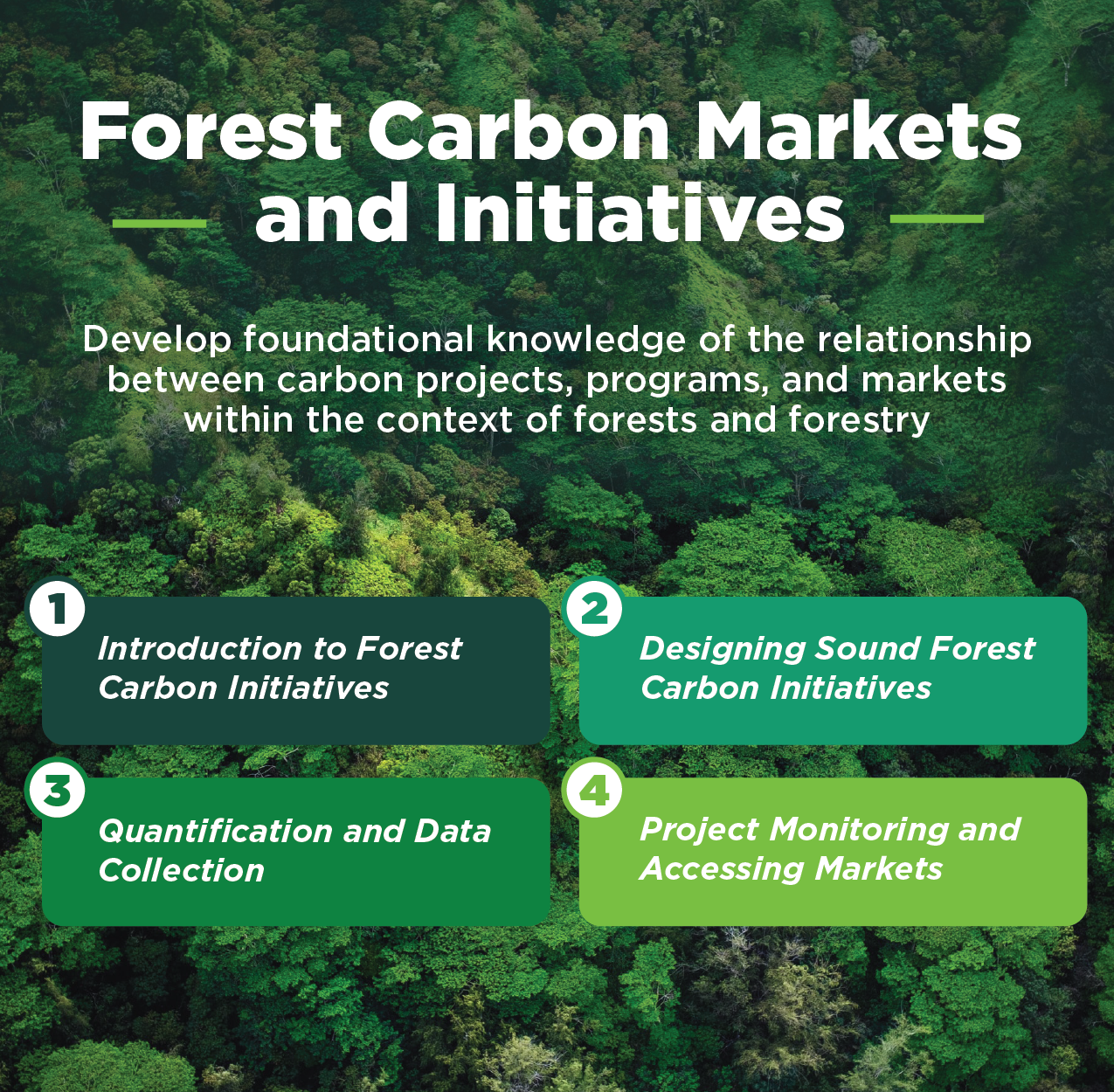 CarbonInitiativesFlyer_cropped.png