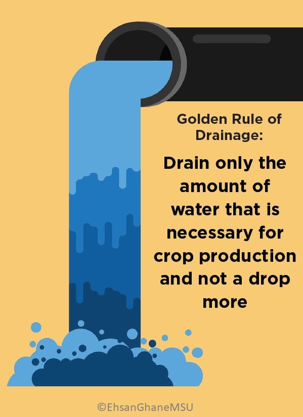 Drain only the amount of water necessary for crop production, not a drop more
