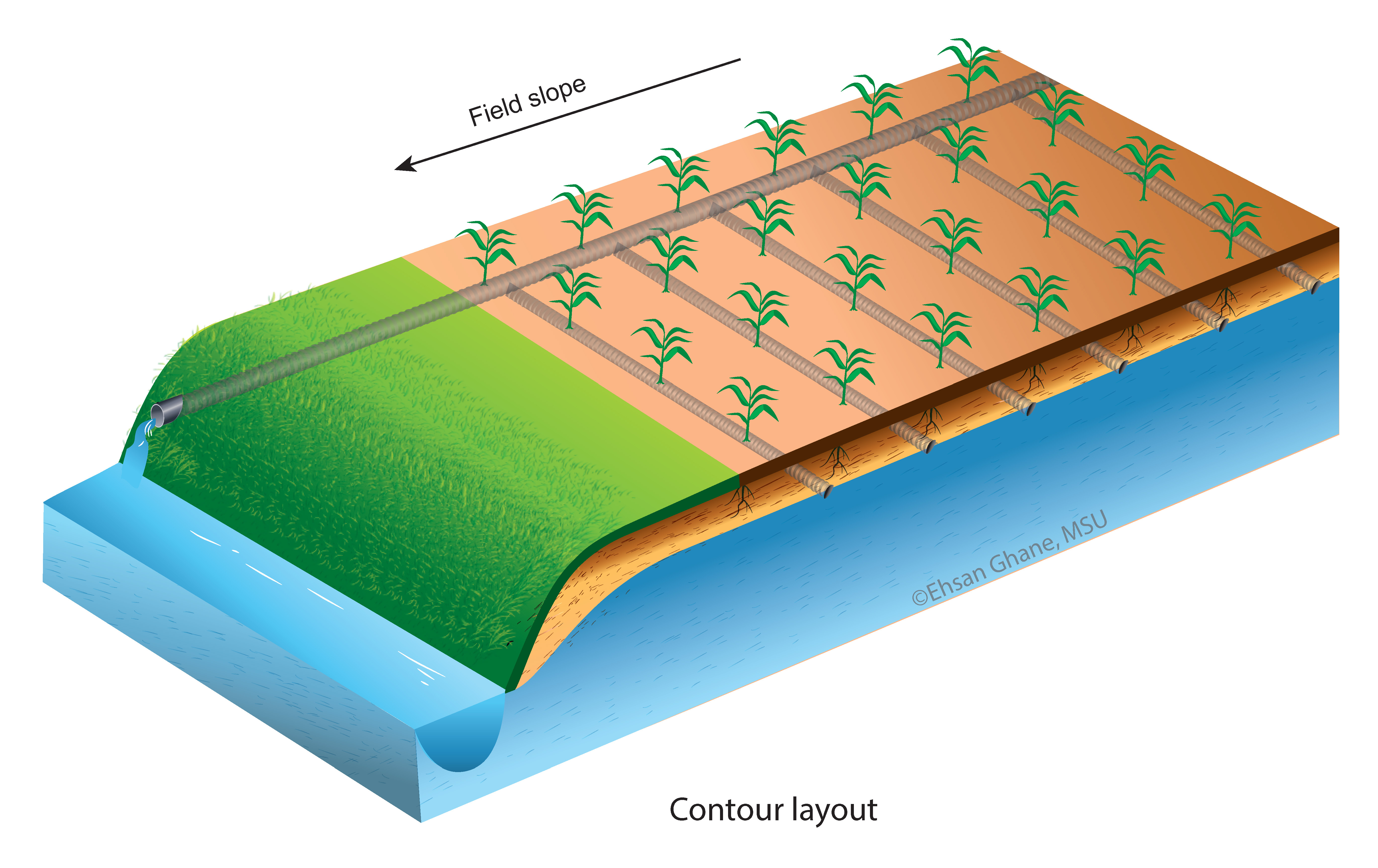 Contour layout