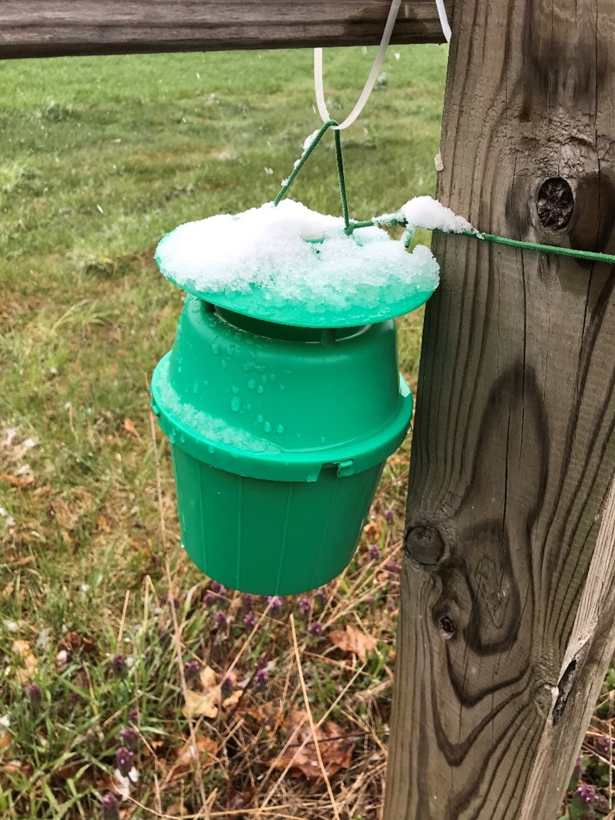 Moth traps
