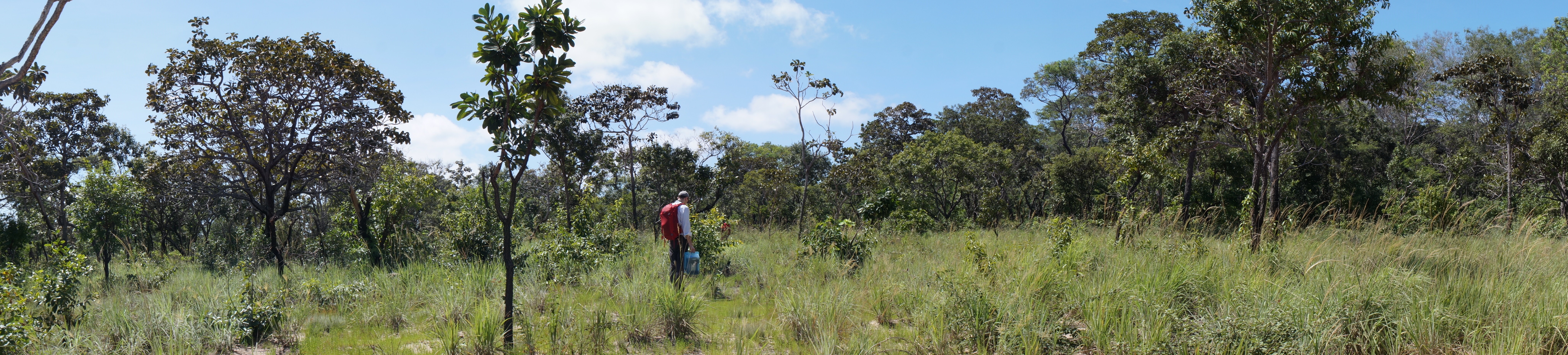 Savanna site near Alter do Ch&atilde;o. [Photo taken by Susan Arag&oacute;n]