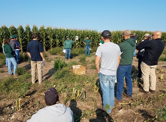 InTheField