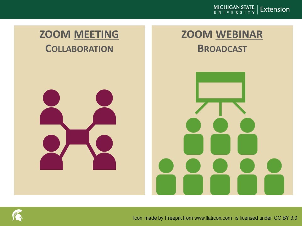 zoom meeting vs zoom webinar infographic